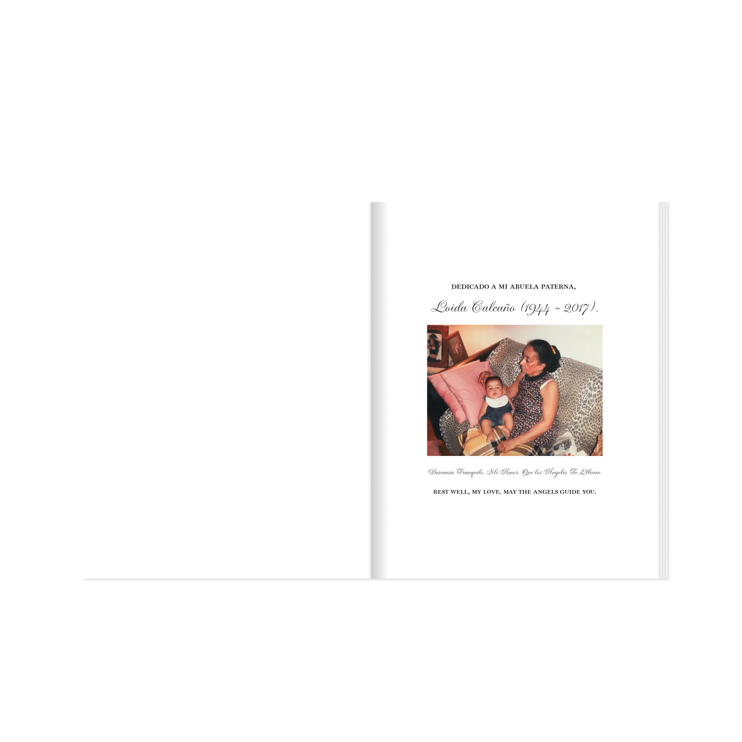 "The 2017 Collection" Official Photo Book