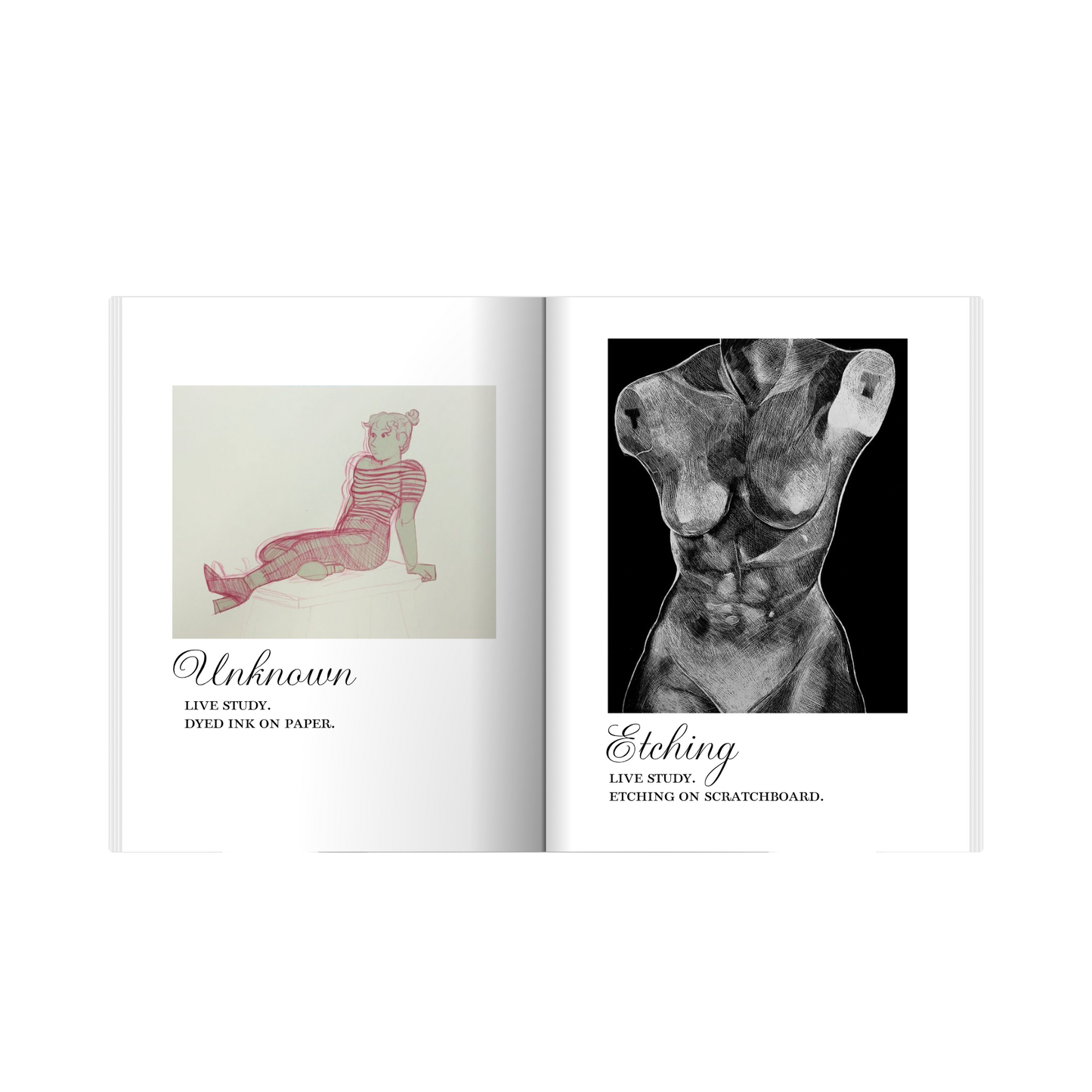 "The 2017 Collection" Official Photo Book