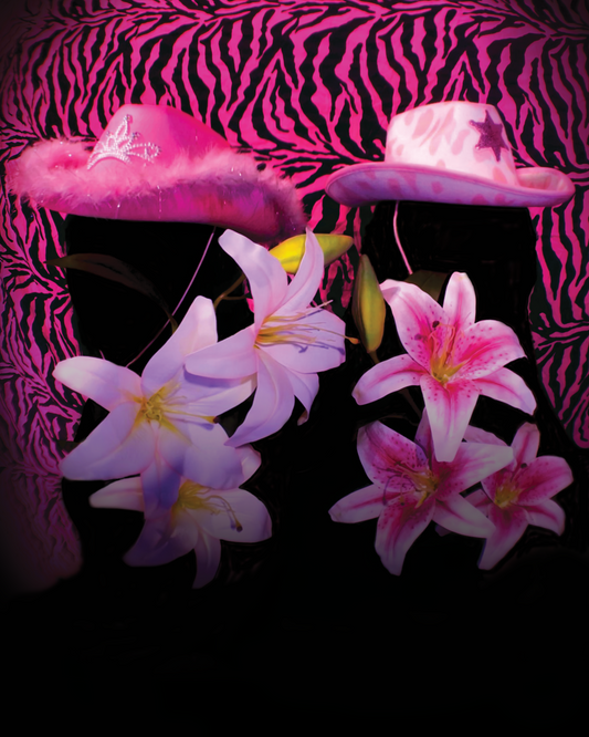 Hibiscus (2023)