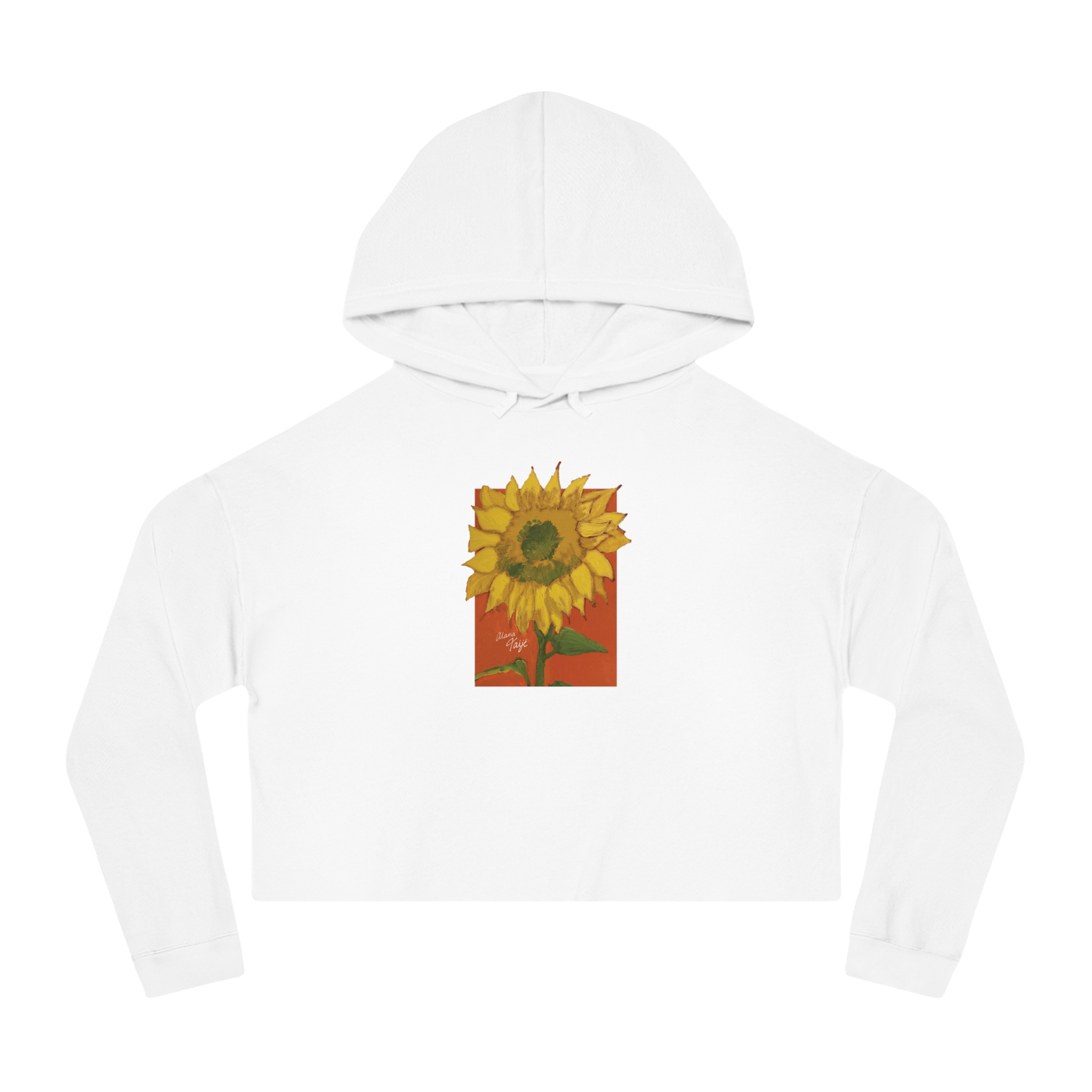 "DEL SOL" (2018) Boxy Cropped Cotton Hoodie