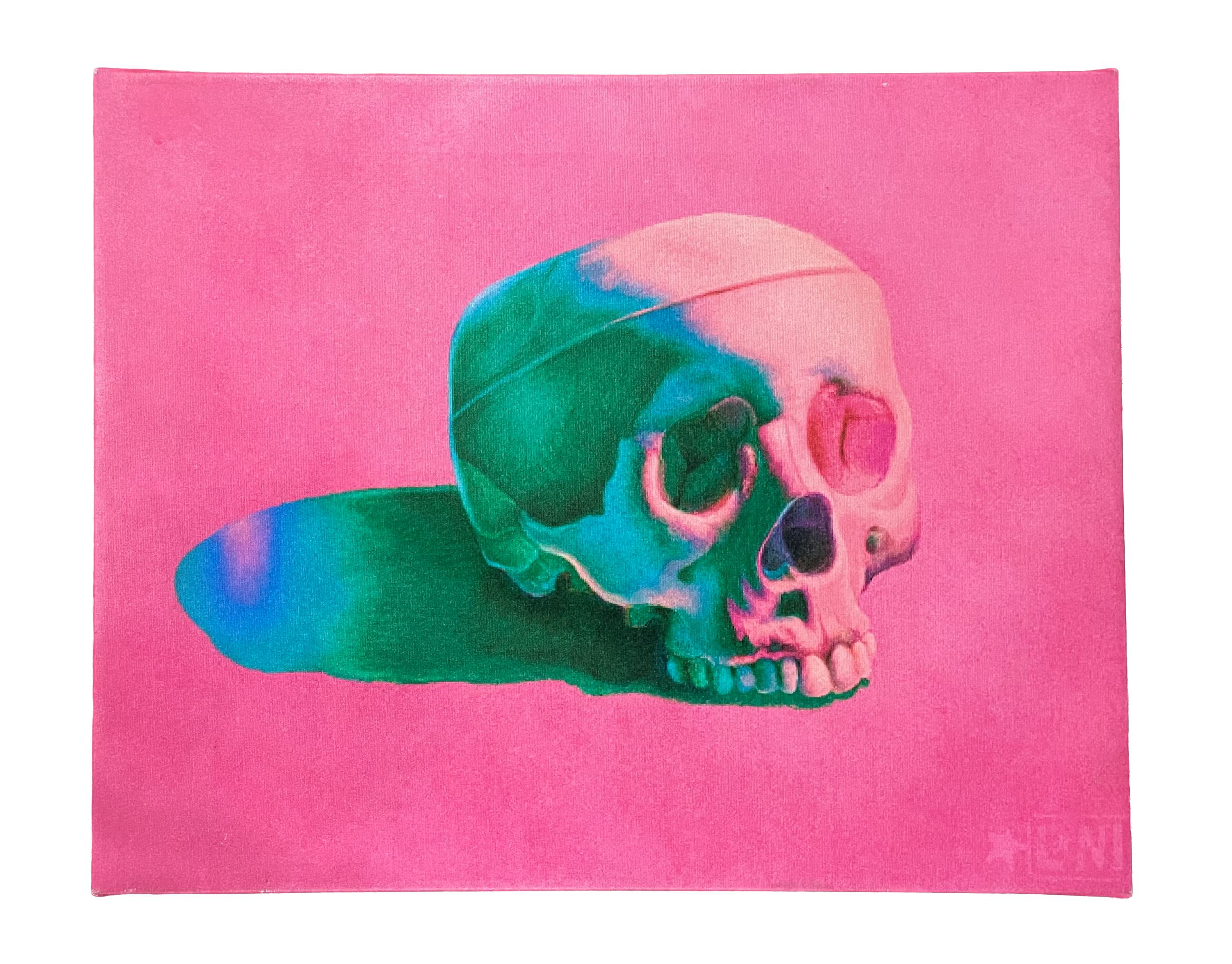 "CRANEO" (2020) Unframed Printed Canvas