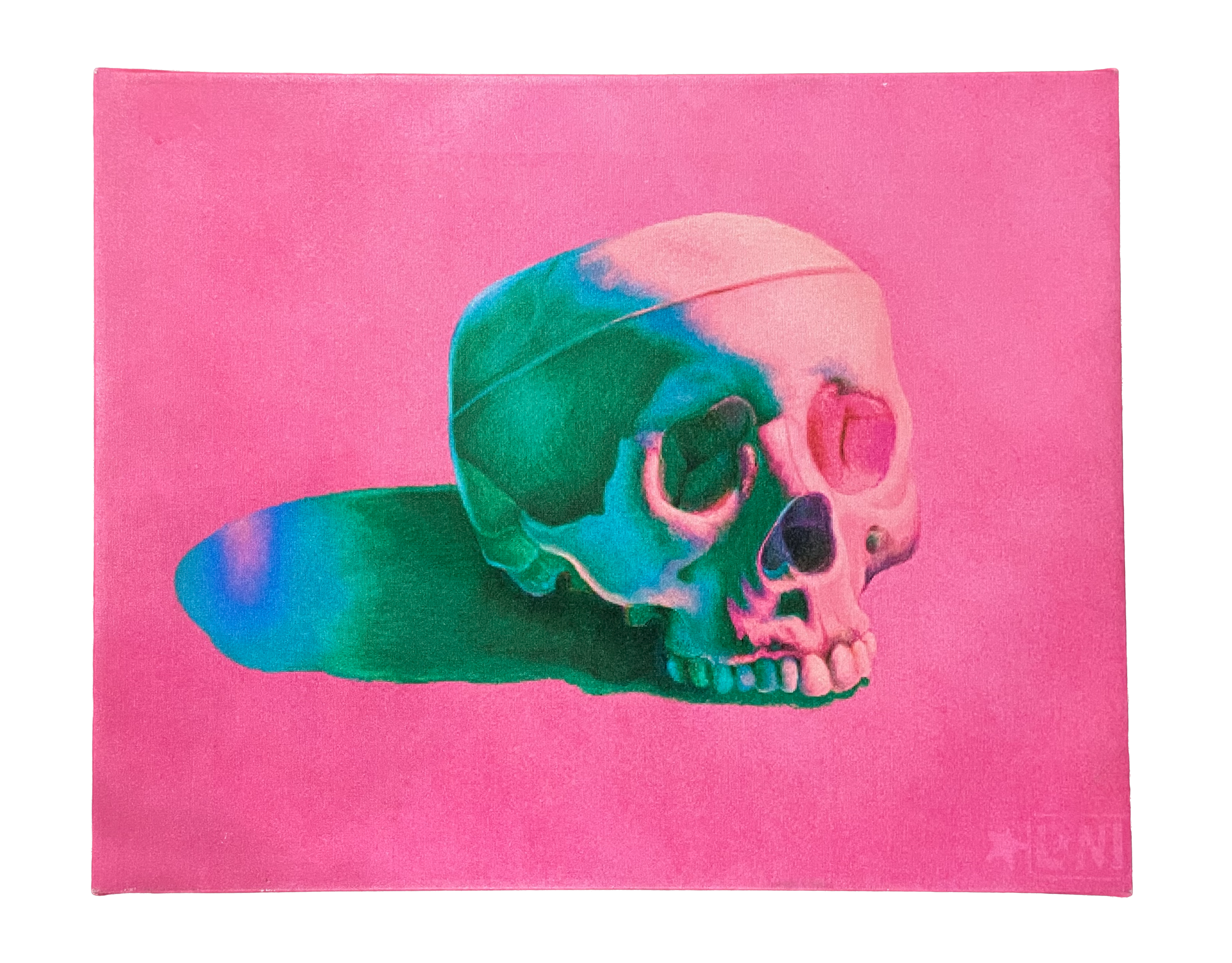 "CRANEO" (2020) Unframed Printed Canvas