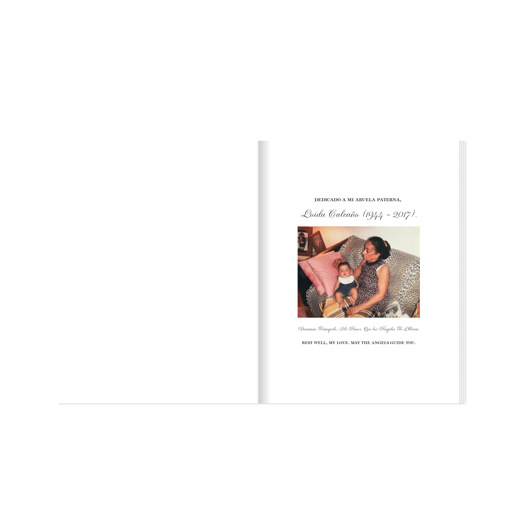 "The 2017 Collection" Official Photo Book