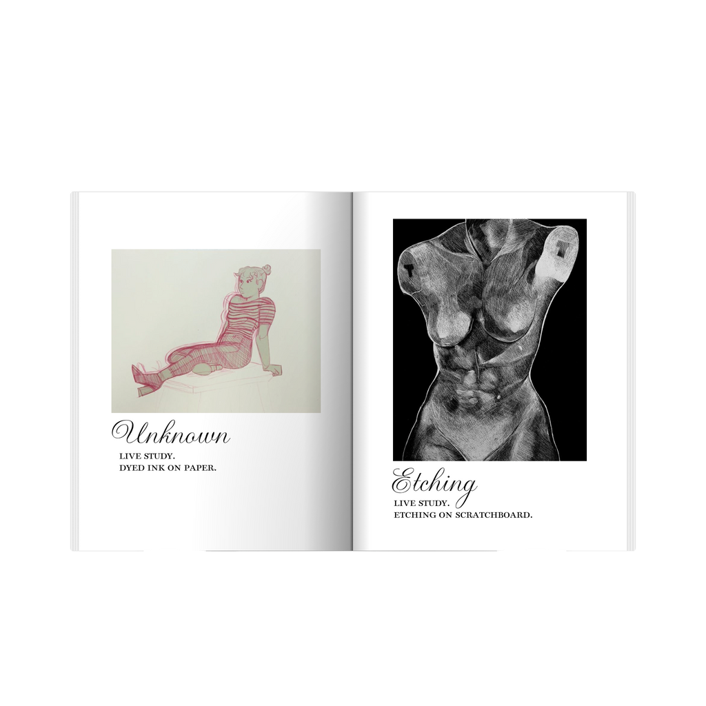 "The 2017 Collection" Official Photo Book