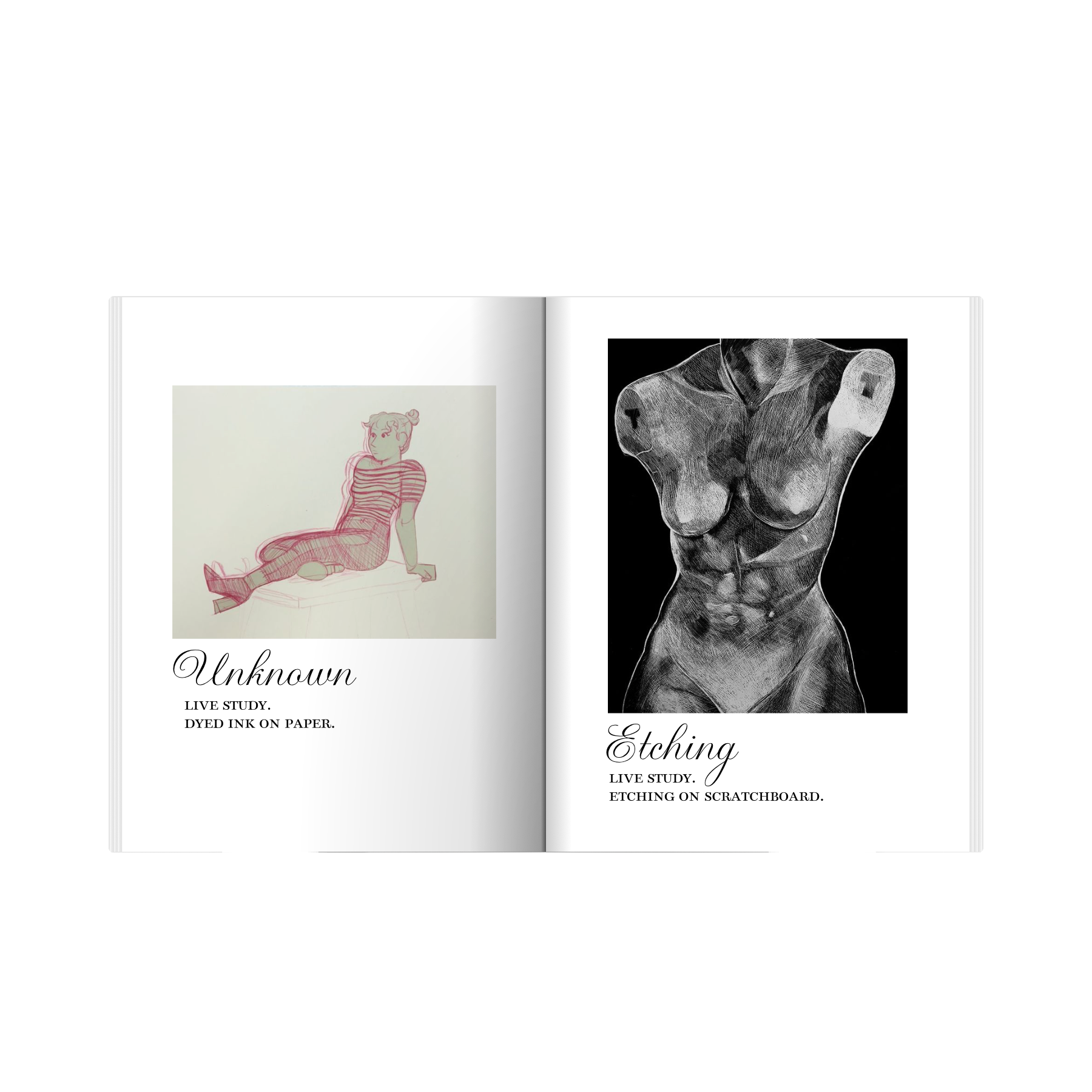 "The 2017 Collection" Official Photo Book